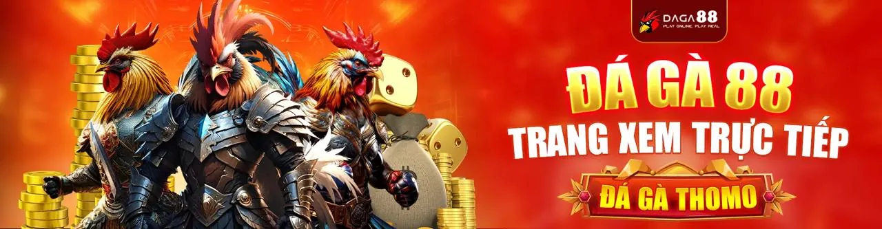 Đá gà trực tuyến tại lucky888 app